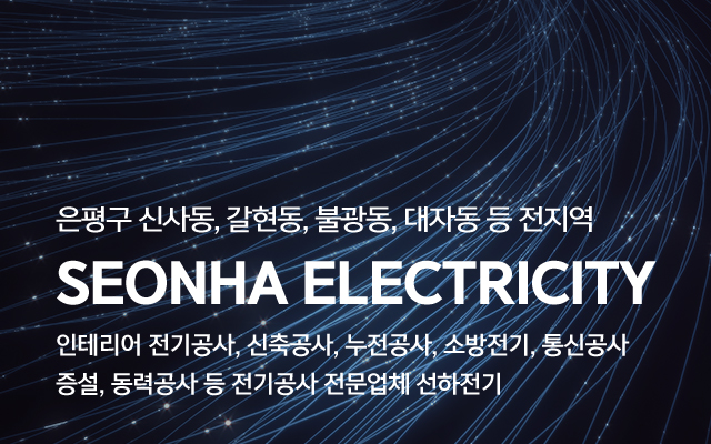 선하전기_캐러셀m